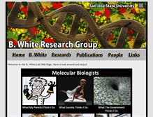 Tablet Screenshot of jbrandonwhite.com